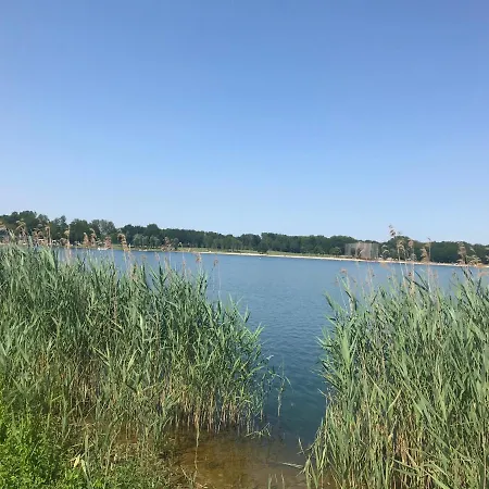 Nyaraló Blauwe Lelie