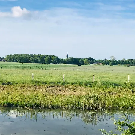 Blauwe Lelie Nyaraló Ewijk