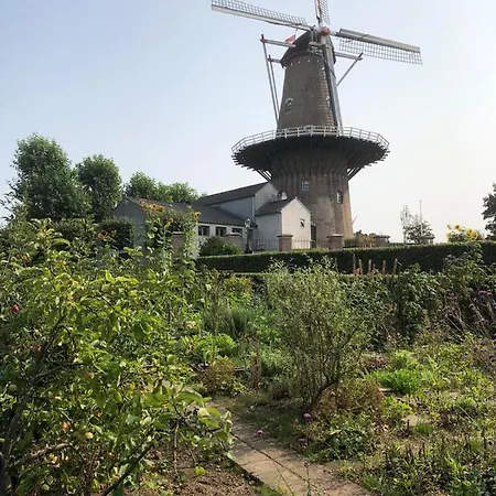 Blauwe Lelie Holiday home Ewijk