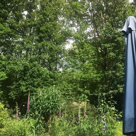 Blauwe Lelie Holiday home *