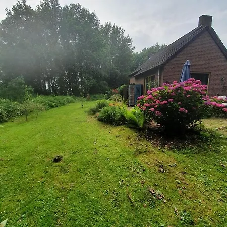 Blauwe Lelie Semesterbostad Ewijk