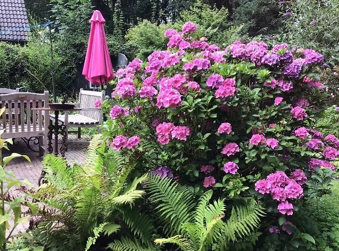 Blauwe Lelie Ferienhaus Ewijk