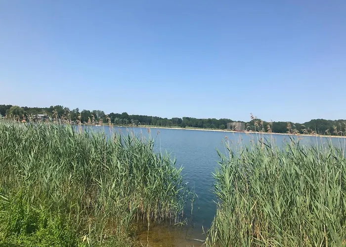 Hébergement de vacances Blauwe Lelie