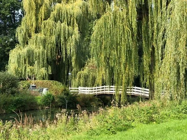 Blauwe Lelie Feriehus