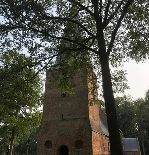 Blauwe Lelie * Ewijk