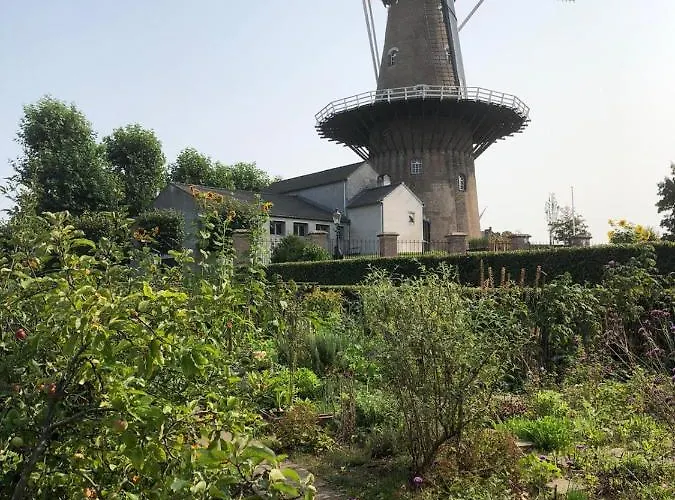 Blauwe Lelie Ferienhaus Ewijk
