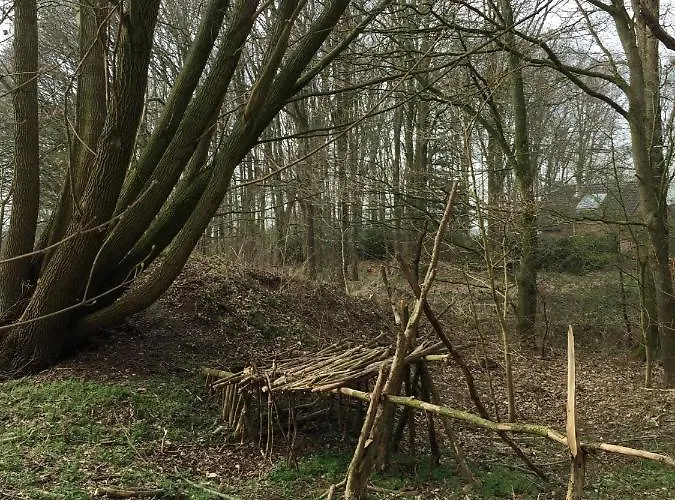 Blauwe Lelie Holiday home