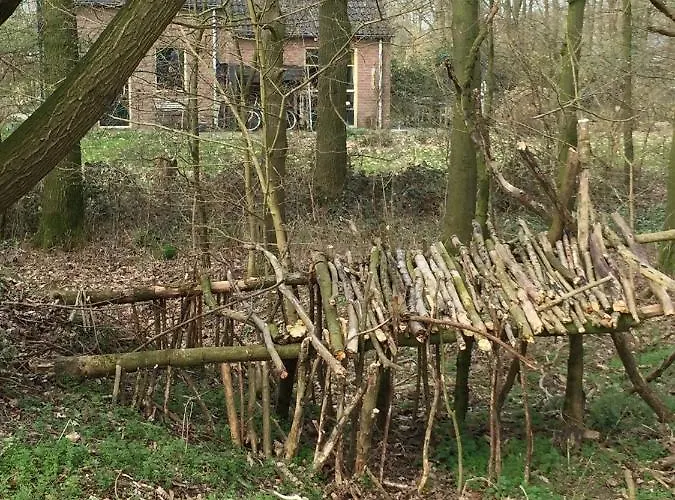 Blauwe Lelie Holiday home