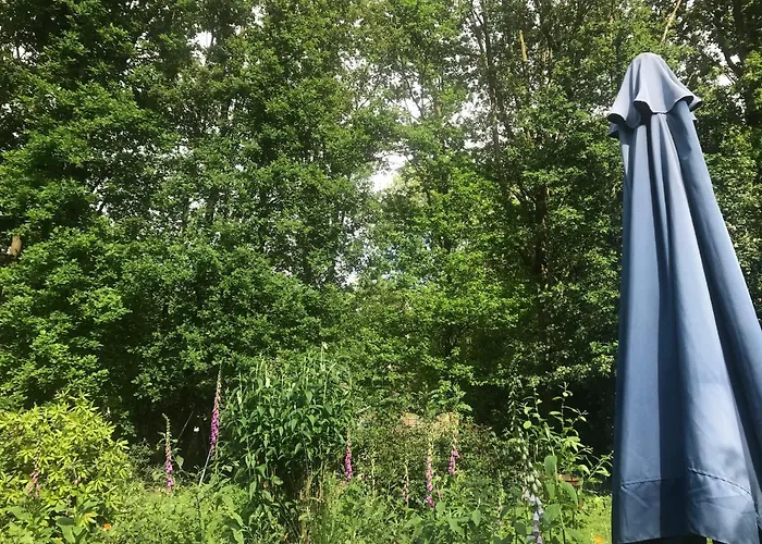 Blauwe Lelie Semesterbostad *