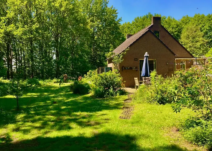 Blauwe Lelie * Ewijk