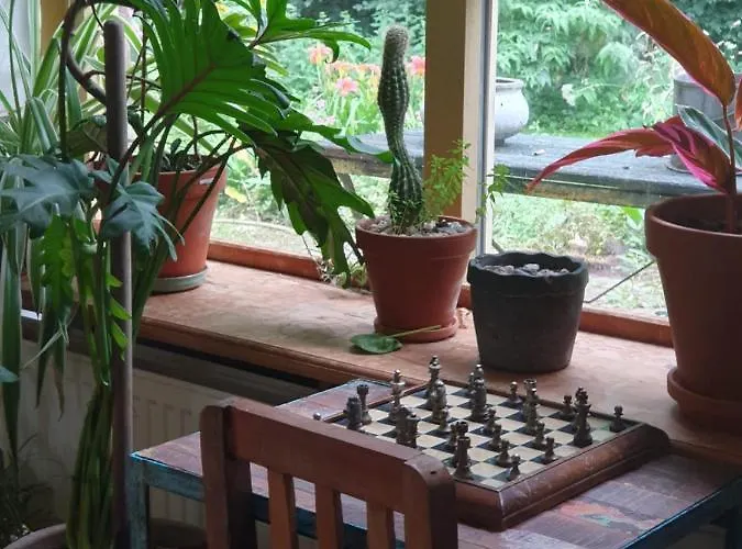 Blauwe Lelie Semesterbostad *